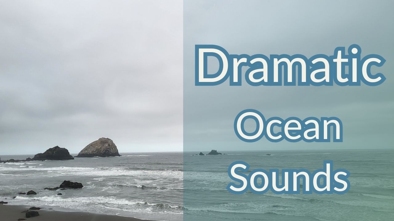 Foggy Ocean Waves by the Redwood Coast 🌊 Deep Relaxation & Sleep Sounds (No Talking)