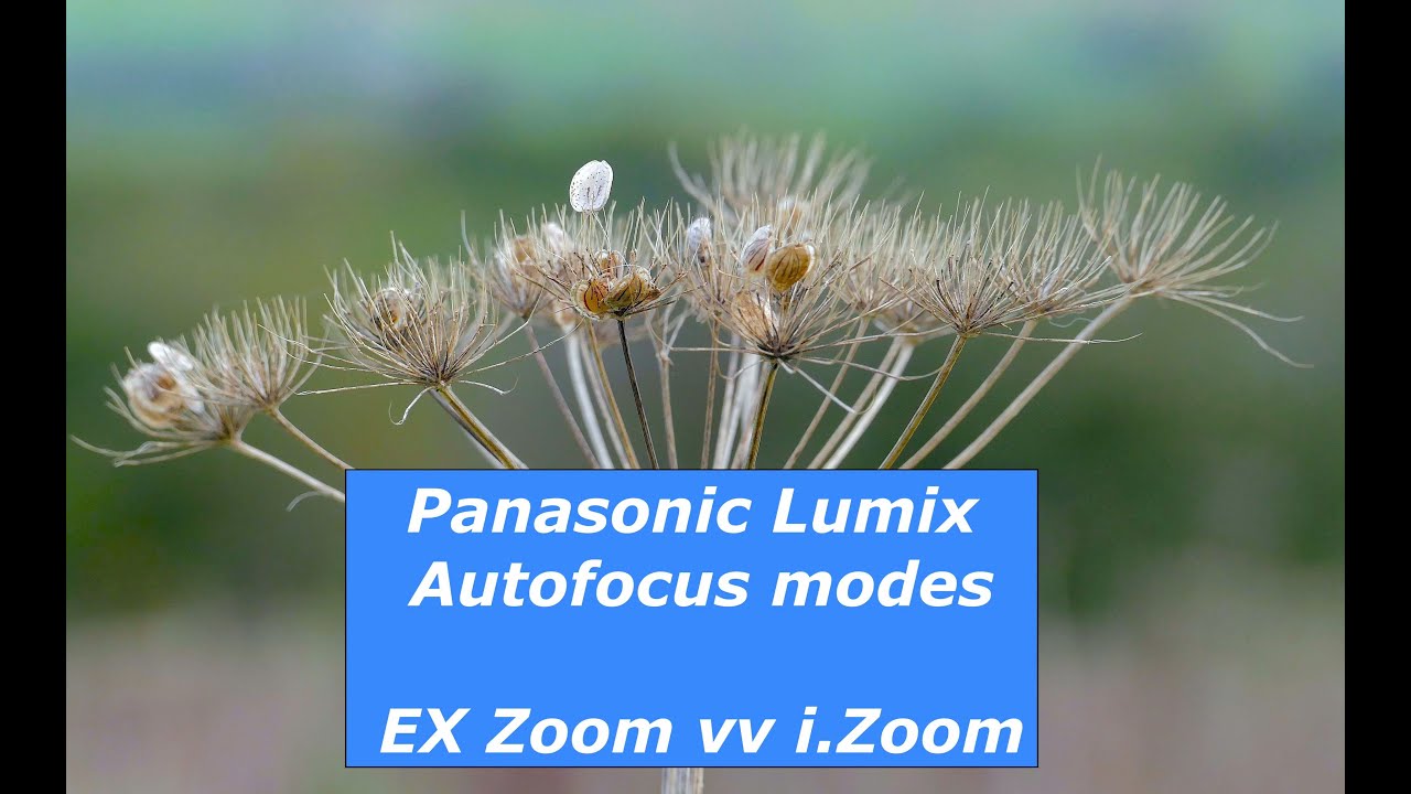 Panasonic Lumix FZ1000 Autofocus and i Zoom Explained