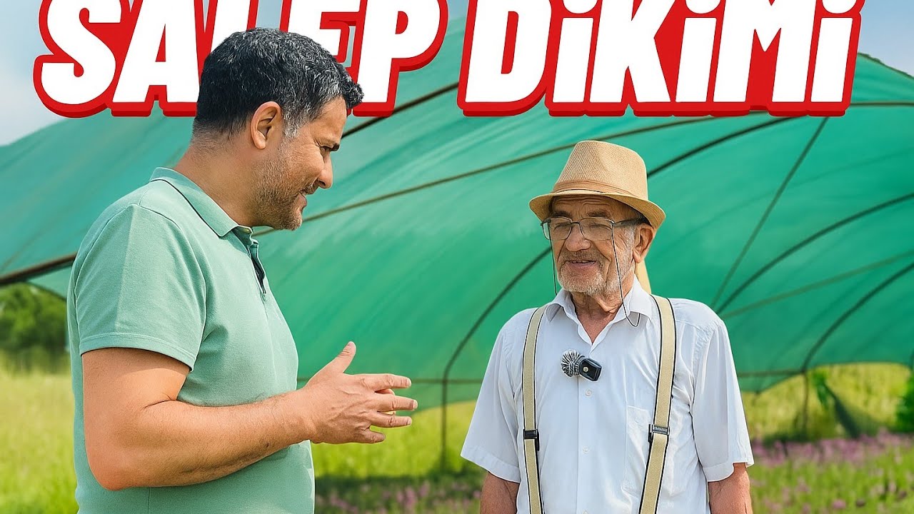 Salep Dikiminde Kritik Noktalar:  Zamanlama! Peki Geç Kalırsak Ne Yapmalıyız