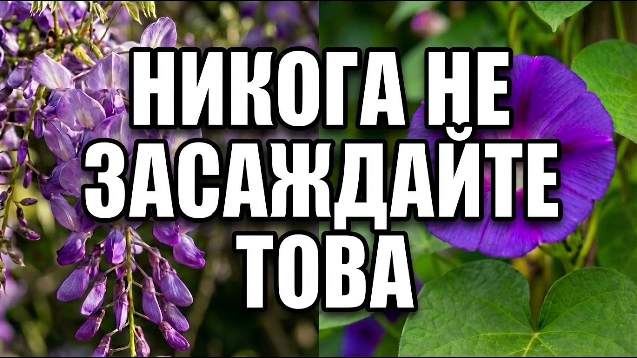 10 Растения, Които НЕ Трябва Да Имаш В Градината Си — Разсадниците Не Те Предупреждават