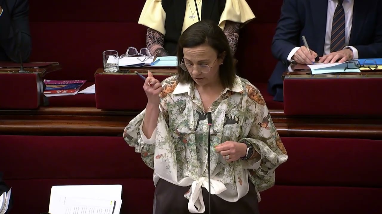 🤰🏾 Поддержка матерей из числа коренного населения Австралии | Дэвид Эттершанк, член парламента