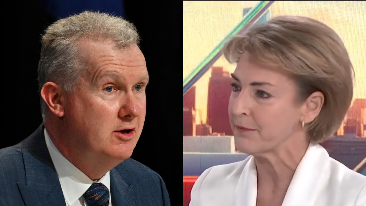‘He should resign’: Michaelia Cash calls for Tony Burke to step down after visa disaster