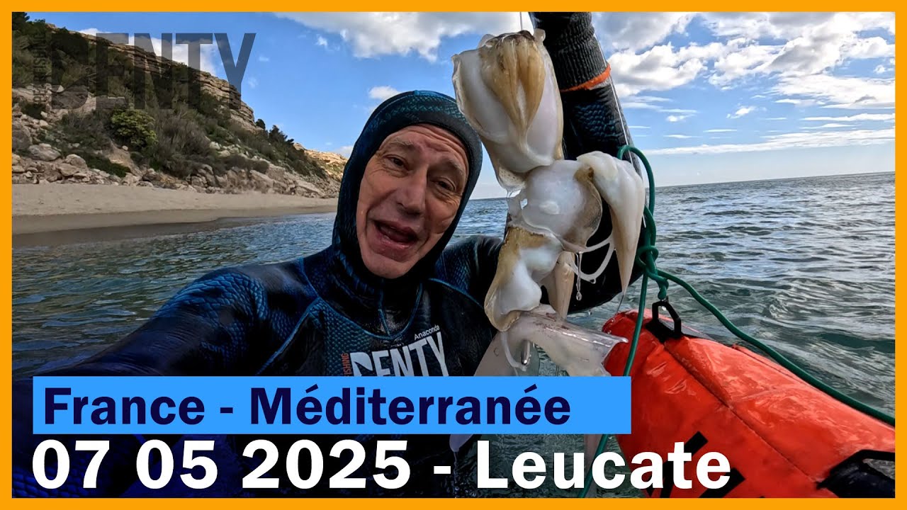 les dernières seiches et calamars de la saison 2025 en Chasse sous-marine