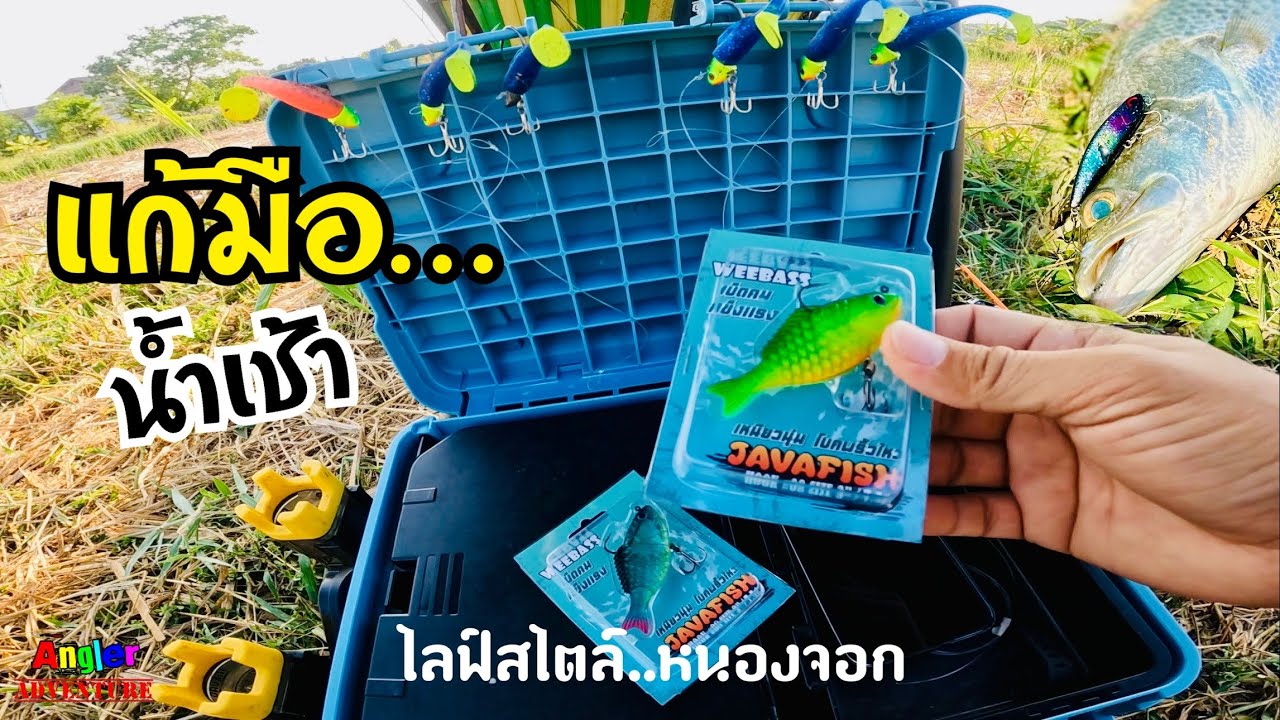 แก้มือน้ำเช้า ที่.บ่อไลฟ์สไตล์หนองจอก #ตกปลากระพง 