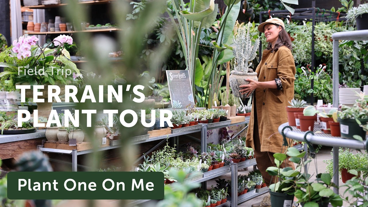 Tour TERRAIN'S Gorgeous PLANT SHOP & Cafe — Ep. 426