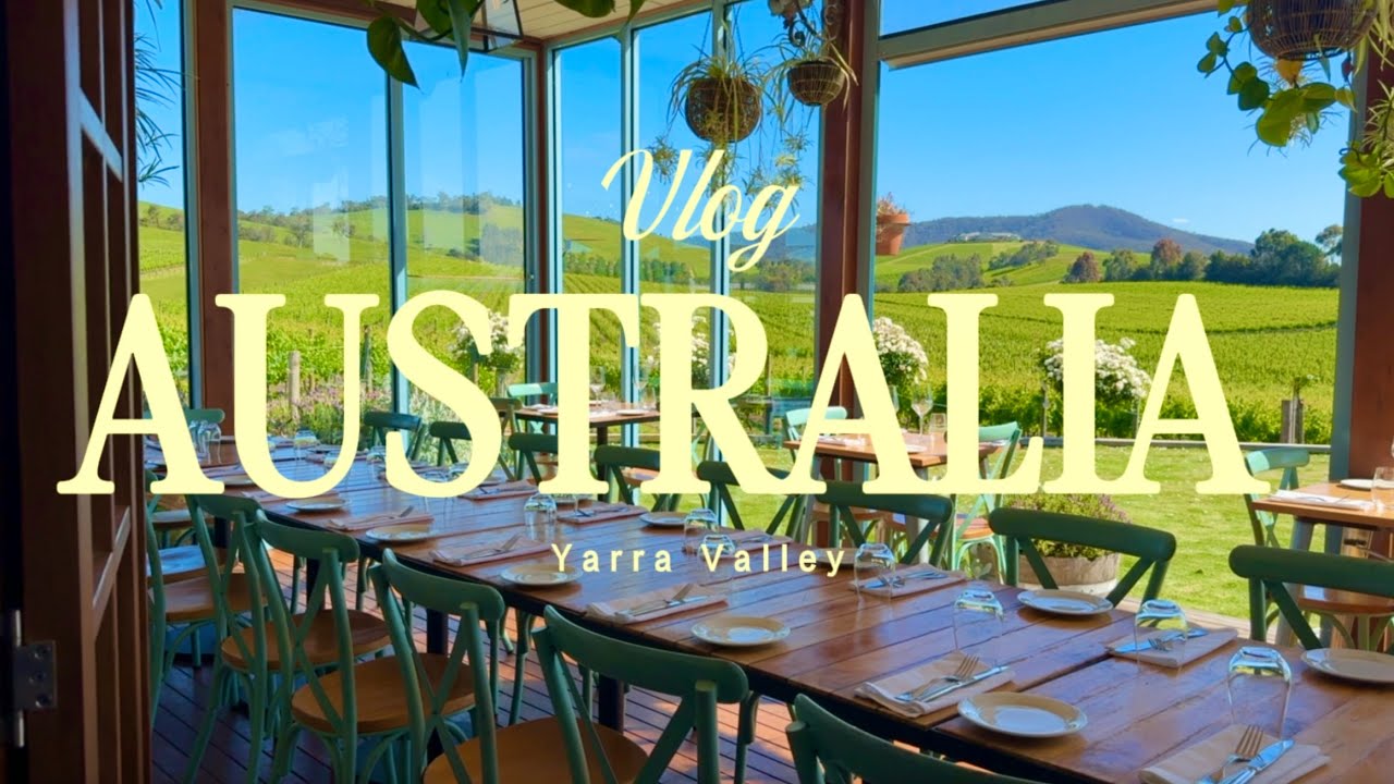 VLOG | Винная Долина Yarra Valley | Australia