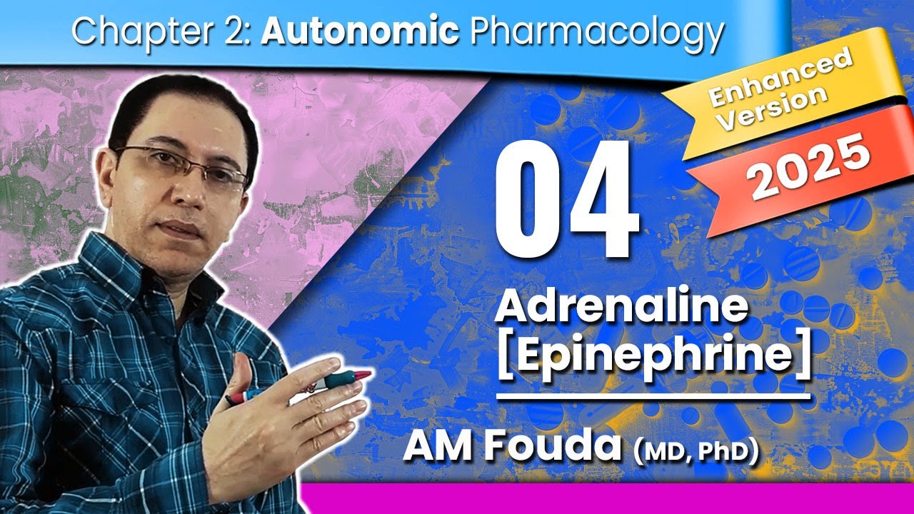 ANS Pharmacology [04] Epinephrine | Enhanced Quality | Stereo Audio