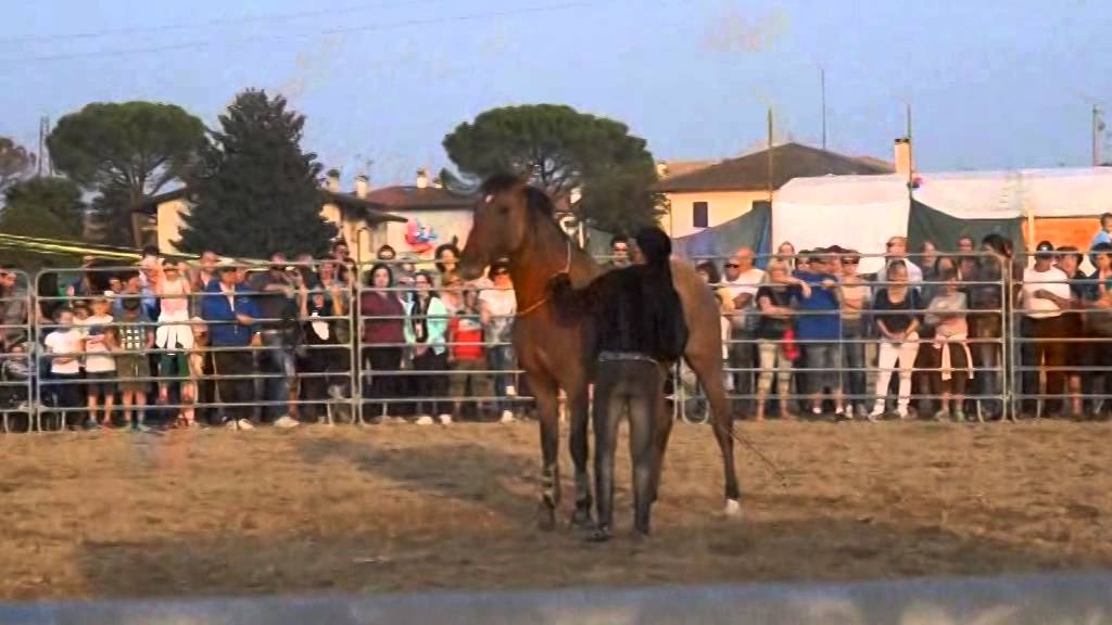 Spettacolo Los amigos