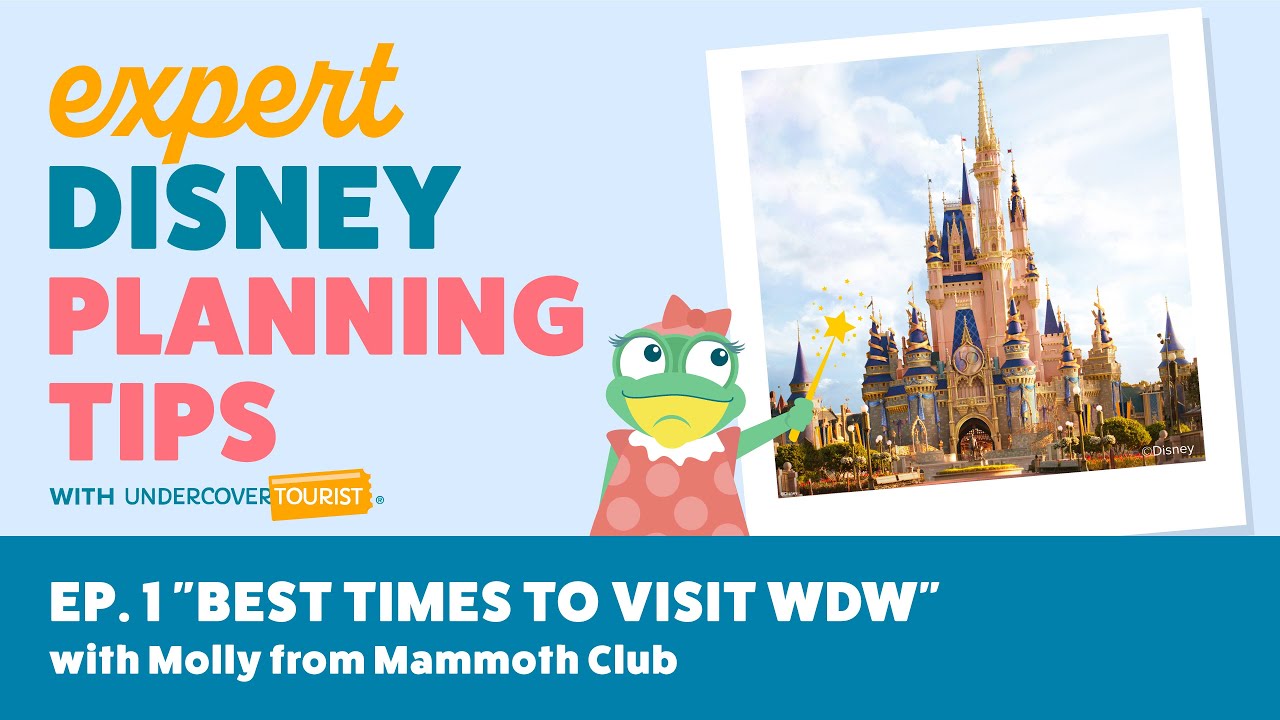 The Best Times to Visit Disney World in 2023 - with Molly from Mammoth Club!