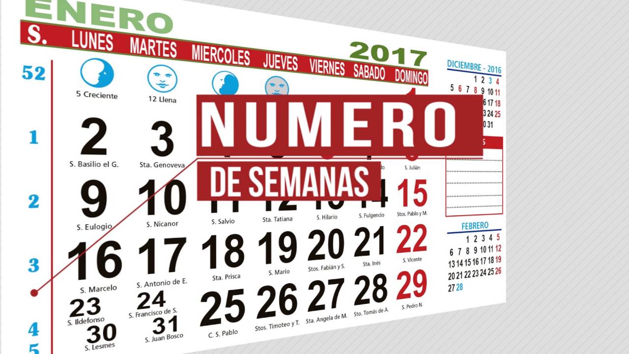 Faldilla calendario15 cm