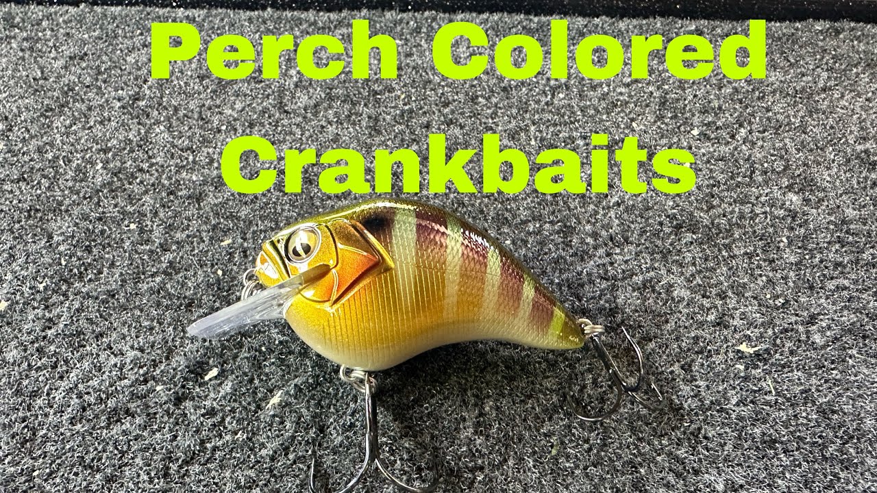 How And When A Perch Pattern Crankbait Outfishes Everything Else&hellip;