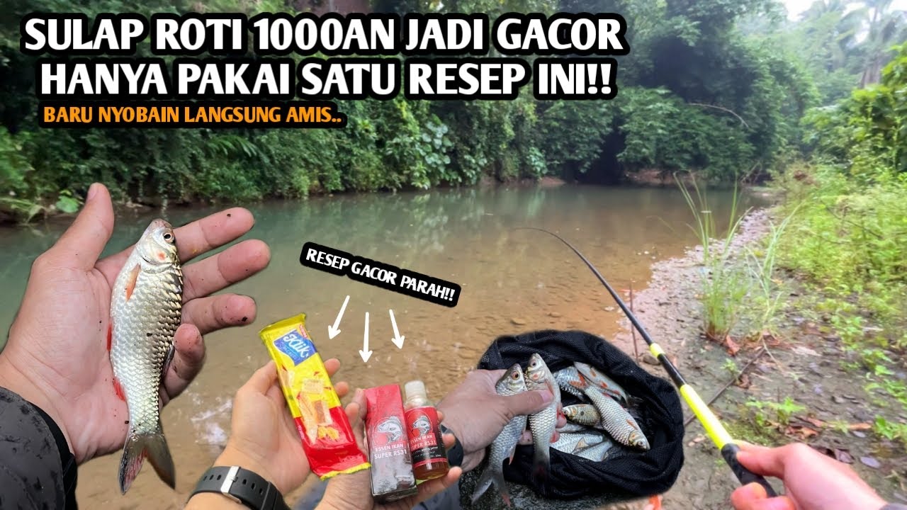 MANCING PUTIHAN JADI MUDAH PAKAI RESEP INI!! Mancing wader pakai umpan roti KLIK dan ESSEN RS31