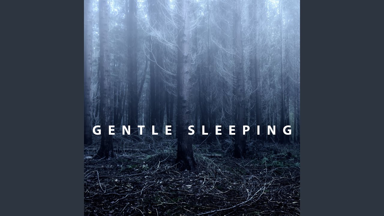 Natural Sleep Solution