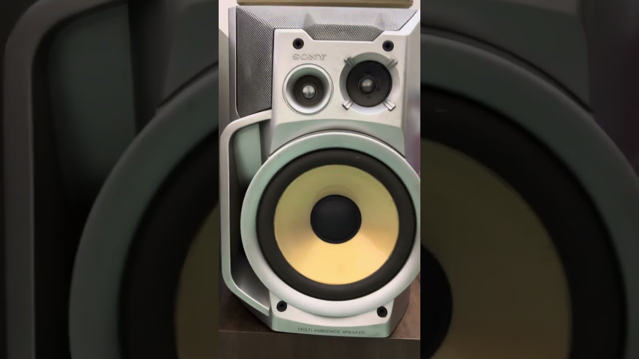 Loa sony ss-vs8. Nghe hay bày đẹp