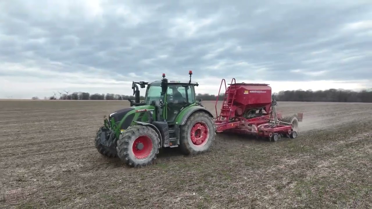 Semis d'orge de printemps