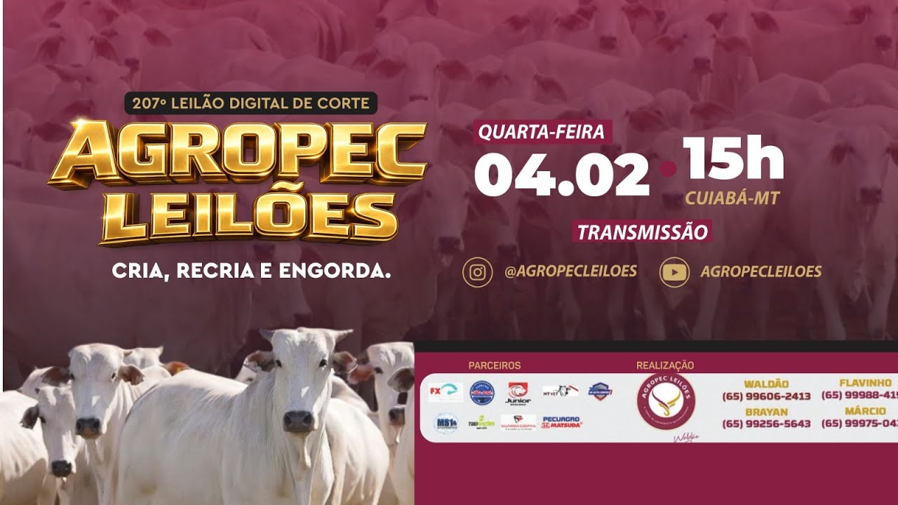 207&ordm; LEIL&Atilde;O DIGITAL DE CORTE AGROPEC