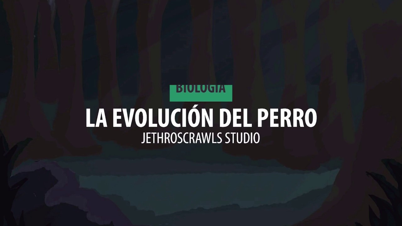 Evoluci&oacute;n del Perro