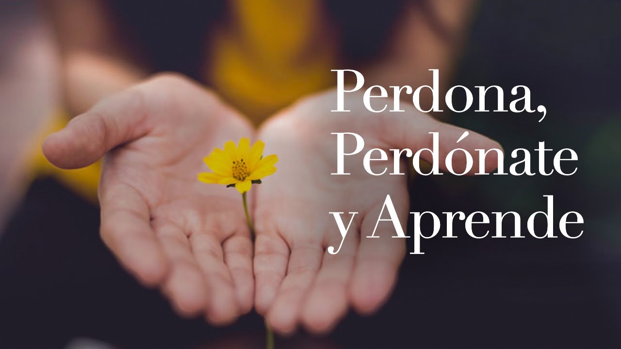 Perdona, perdónate y aprende