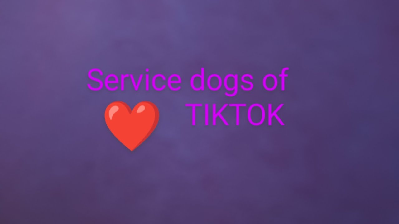 Service dogs of tiktok!
