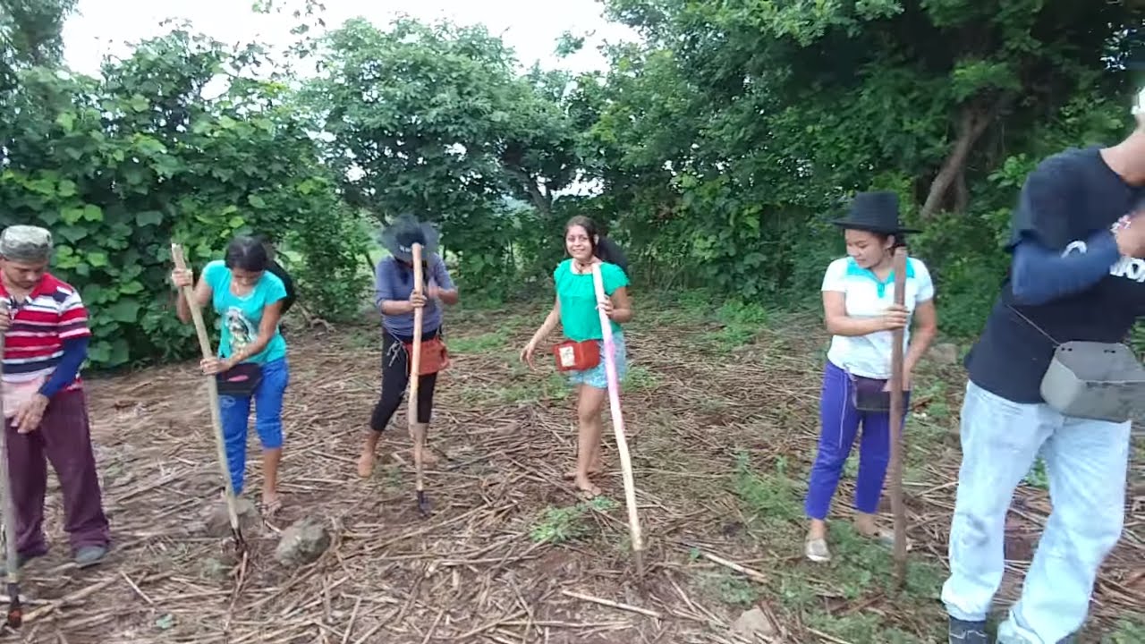 Bueno ahora si a empezar con la siembra y las instrucciones. Sembrando la Milpa 2017. Parte 2
