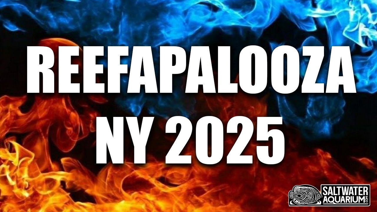 LIVE From Reefapalooza New York!  Come See the Show Floor With Us and See What It's Like!