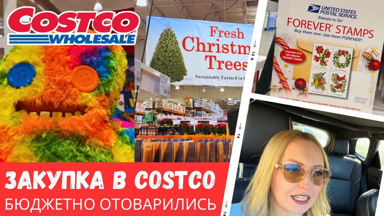 Недельная закупка в Costco / Бюджетные покупки / Влог США