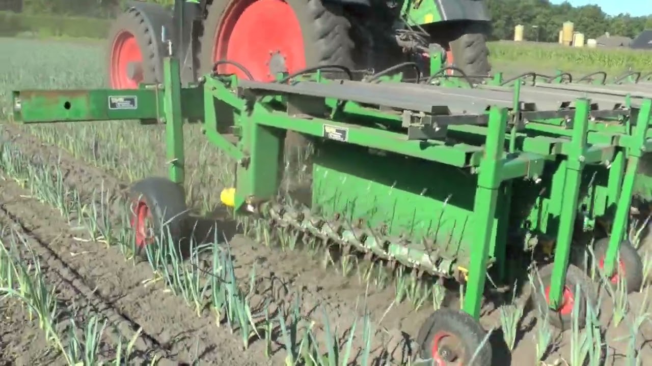 CAS Mechanical weeding machine