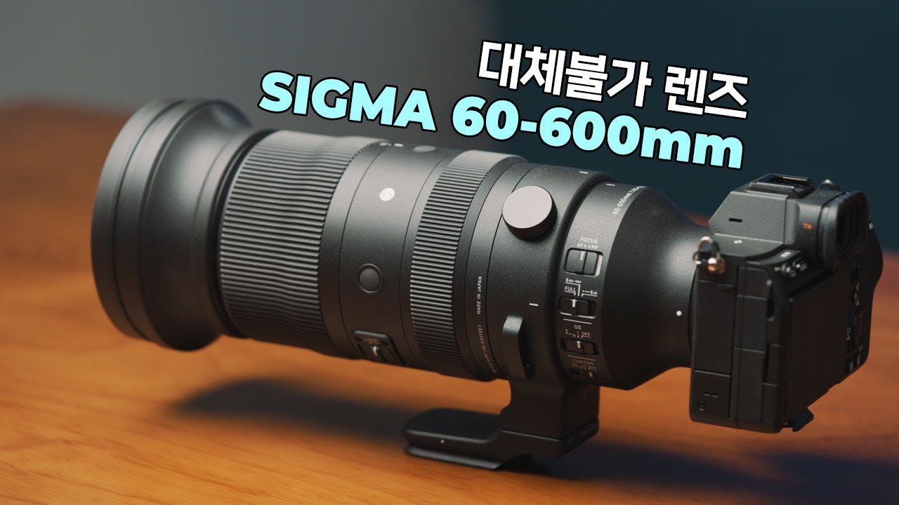단 하나의 초망원 줌렌즈가 필요하다면? 시그마 60-600mm F4.5-6.3 DG DN OS