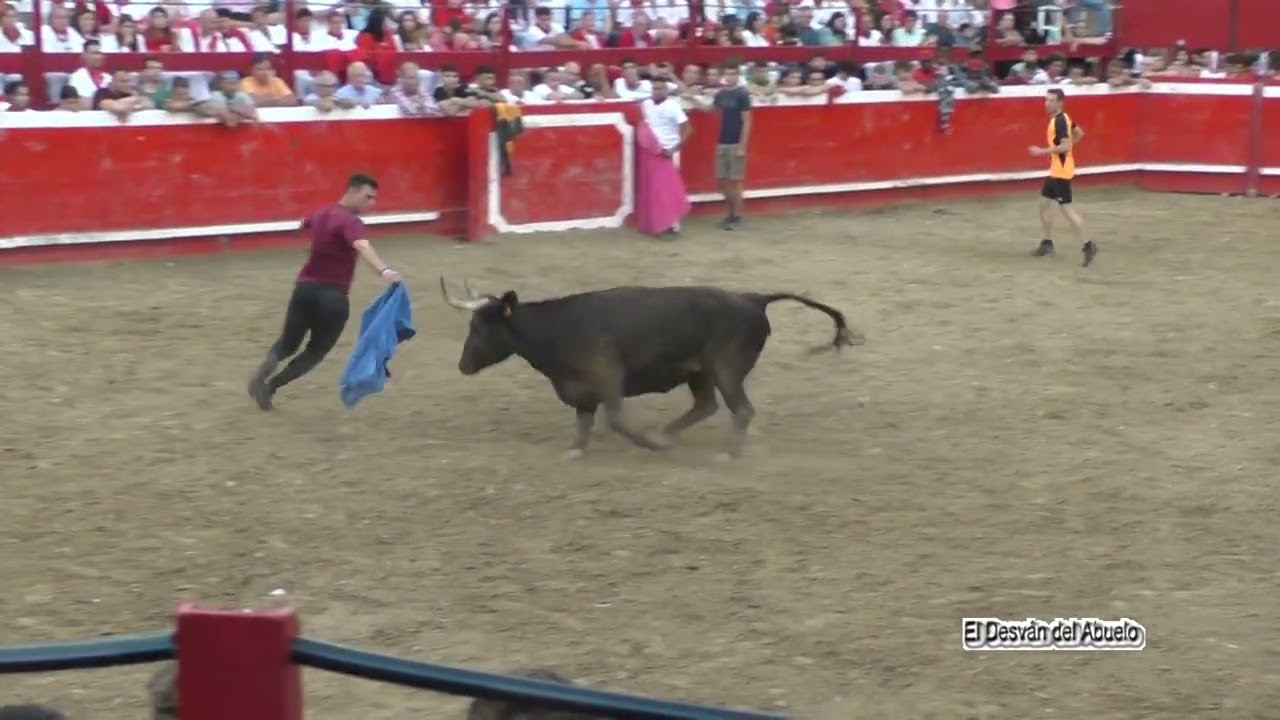 Villafranca capea en la plaza Macua Corera sab 23 sep 2023