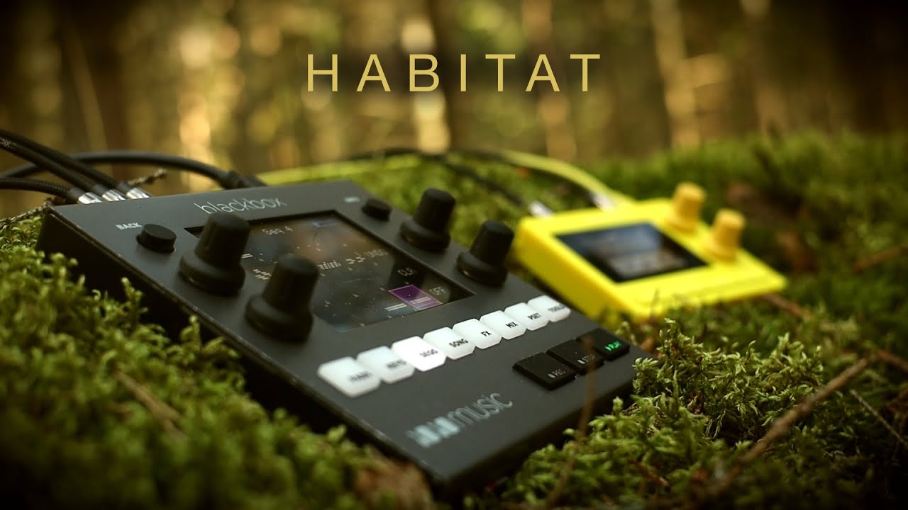 habitat ... 1010music blackbox & lemondrop ... ambient