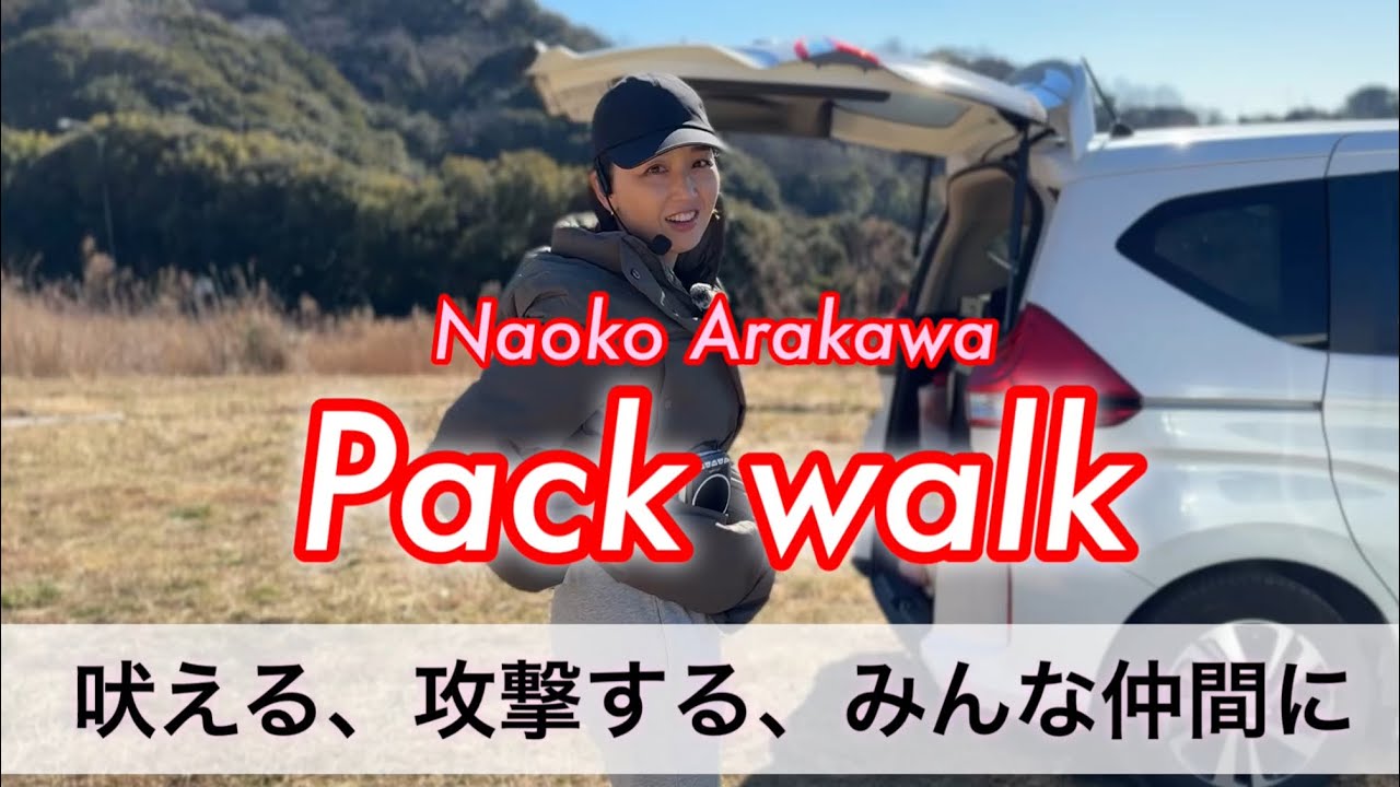 パックウォーク(群れ散歩)吠えや攻撃性問題のある犬たちをまとめて一つに。