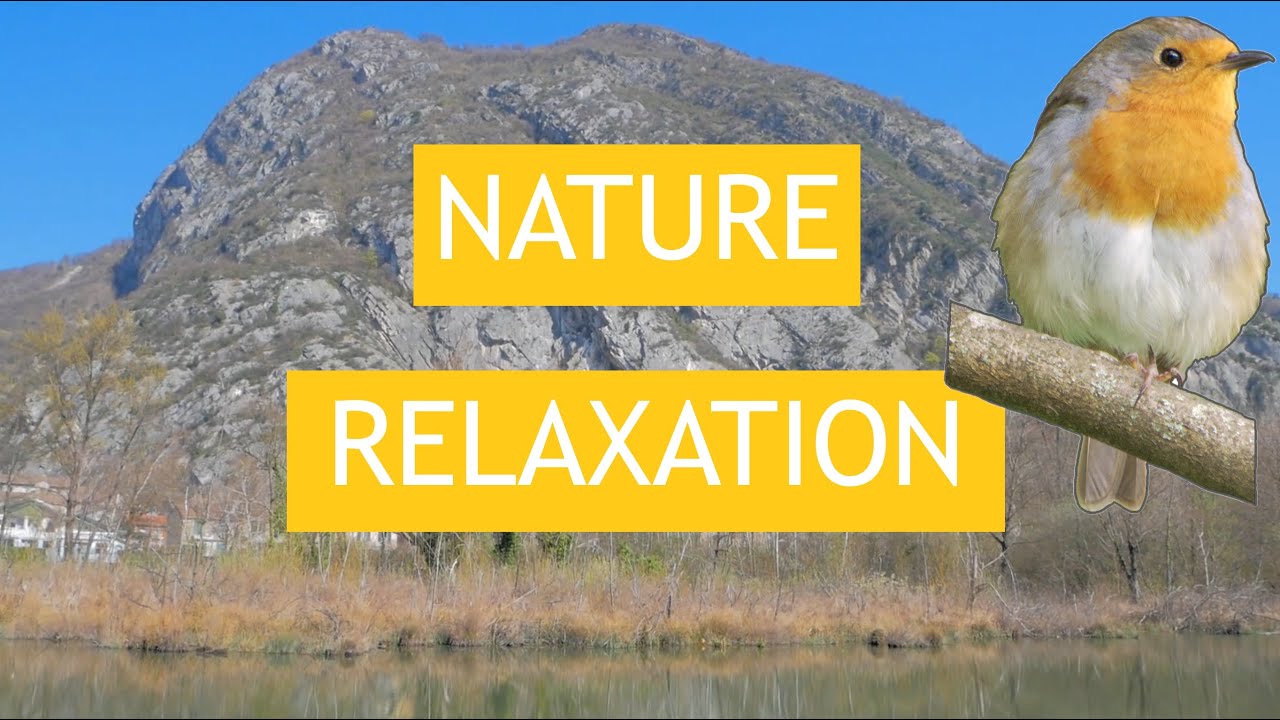 Vidéo nature, relaxation - Le printemps en Isère