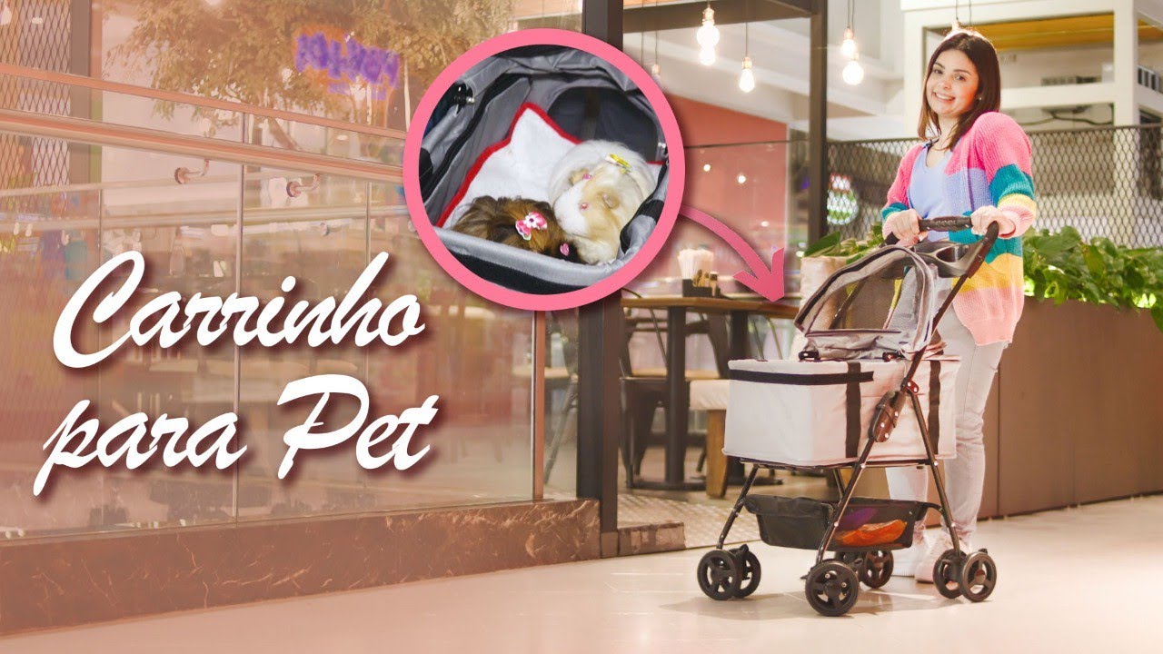 Passeio com as Porquinhas da Índia