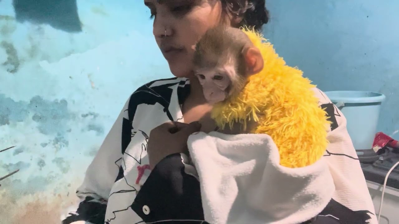 Mera Bacha, mamma Saath, Khanna, Bana, Aaye❣️