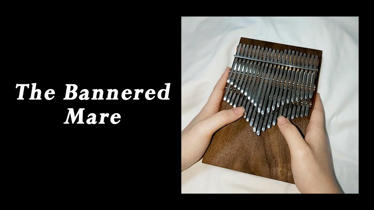 The Bannered Mare - Skyrim (Chromatic Kalimba Cover)