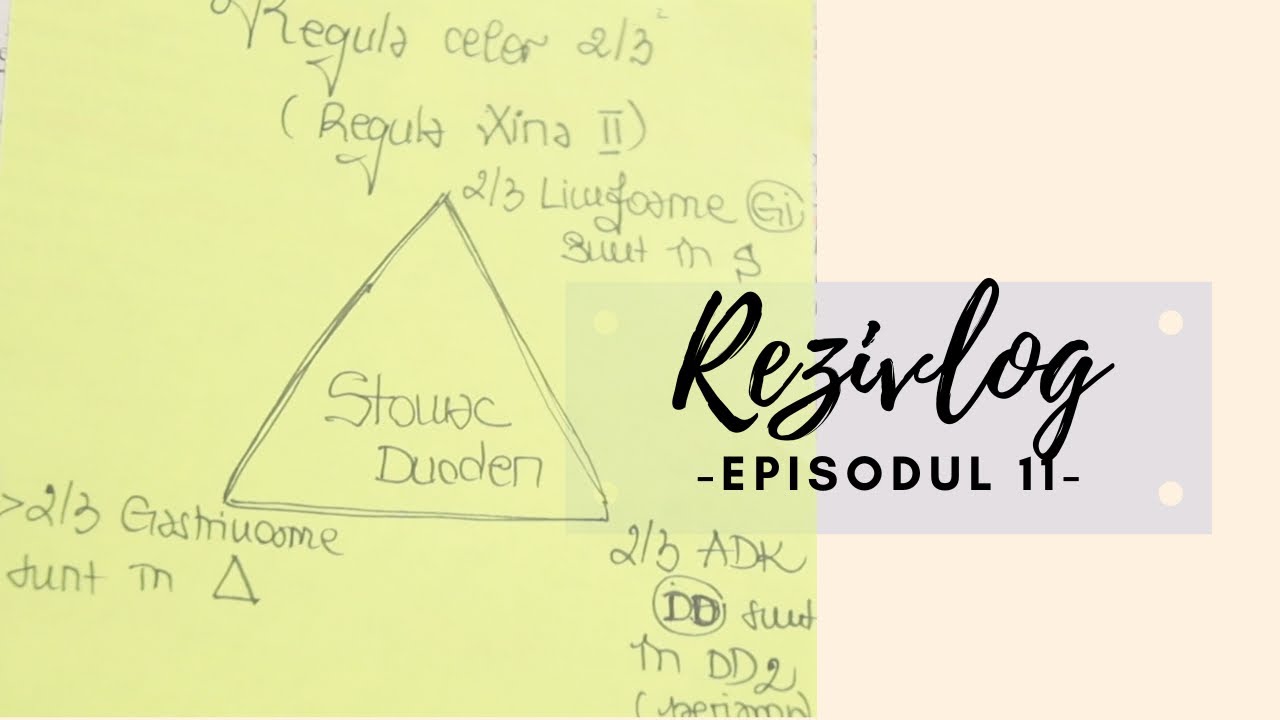 #Rezivlog EPISODUL 11 | REGULA celor 2/3 AKA REGULA XINA II 🧐 | INVATAM IMPREUNA VALVULOPATIILE🫀