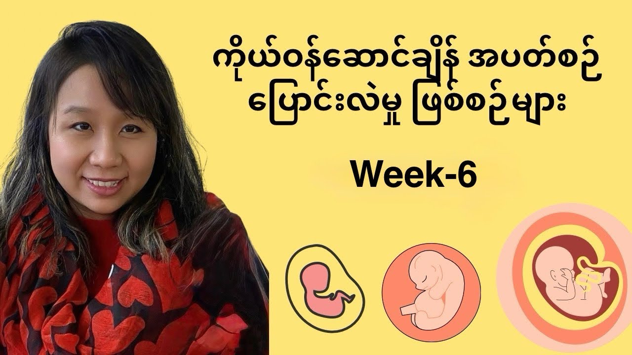 ကိုယ်ဝန်ဆောင်ချိန် အပတ်စဉ်ပြောင်းလဲမှု ဖြစ်စဉ်များ (Week-6)