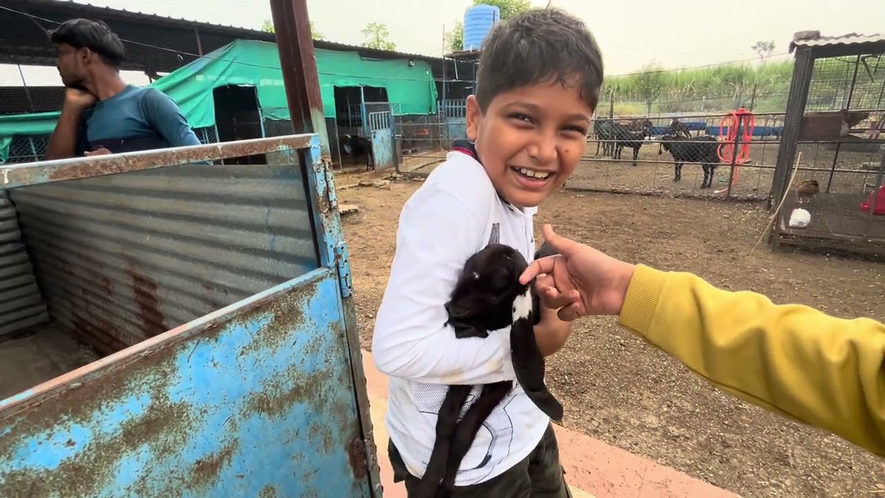 @RayOfReyaanshFun visit to our Goat Farm
