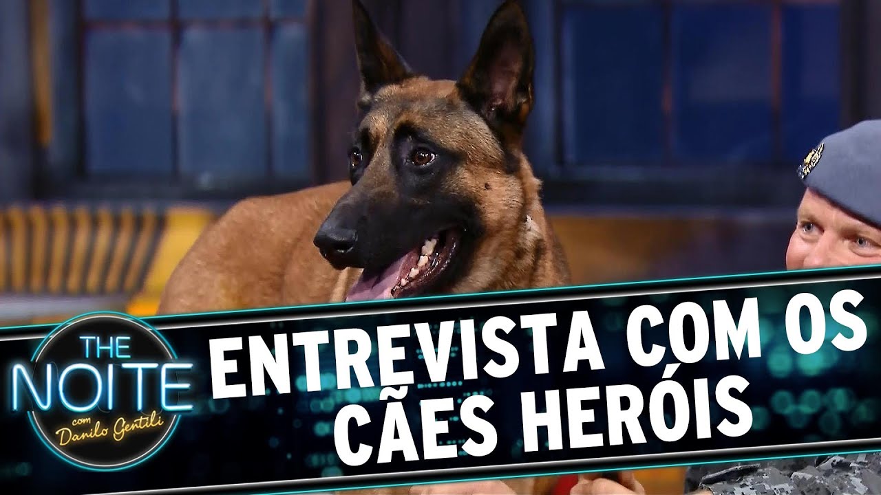 The Noite (28/08/15) - Entrevista com os Cães Heróis da Polícia Militar
