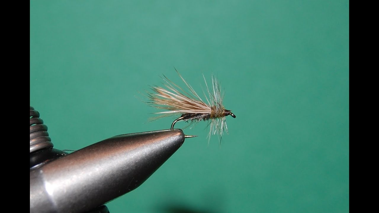 Tying The Penns Grannom