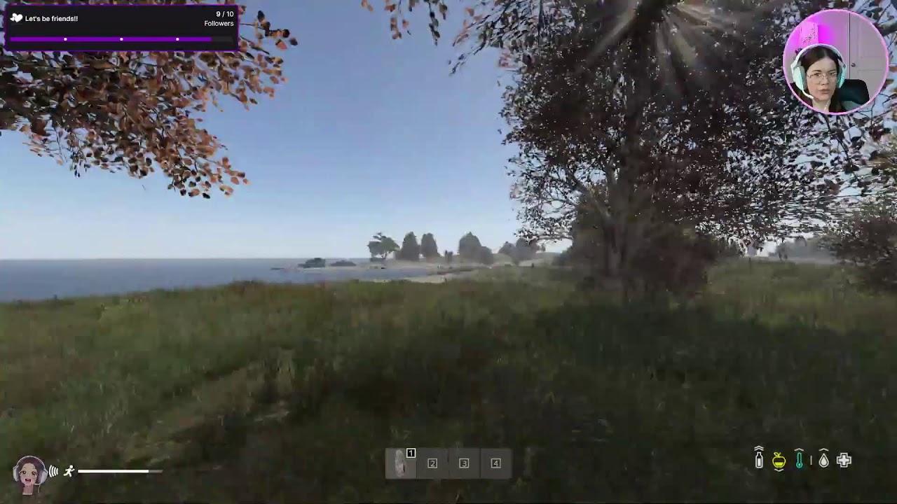 Dayz | Learning to git gud