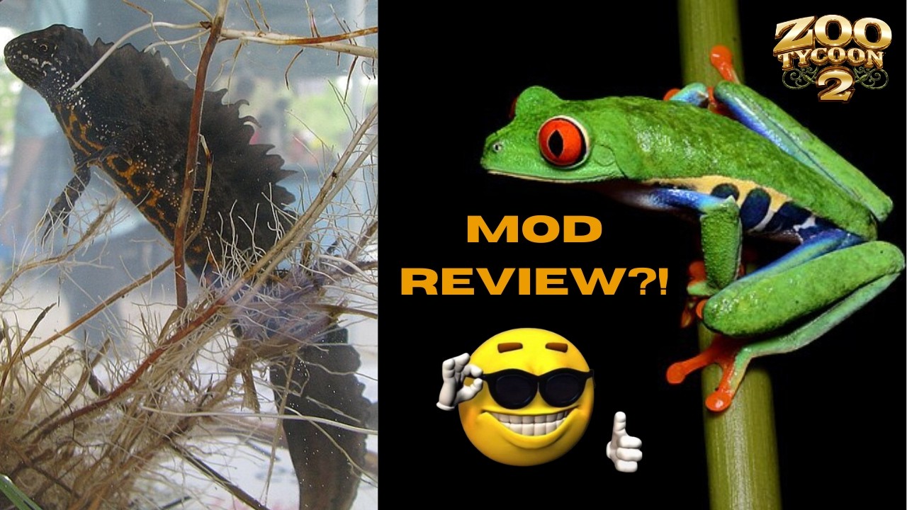 I reviewed 2 mods for Zoo Tycoon 2 in only 1 Video