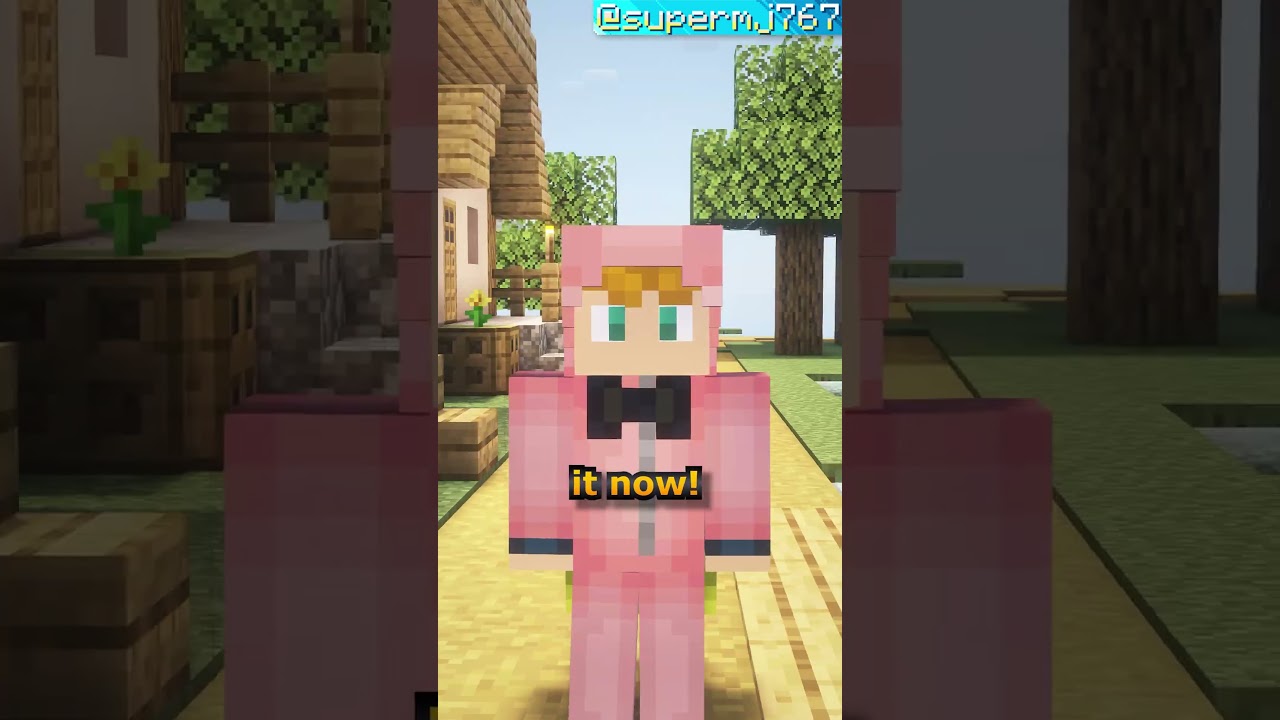 Finding @Vivilly's Disguise MOD🤔 - 42 #supermjshort #supersearch #minecraft