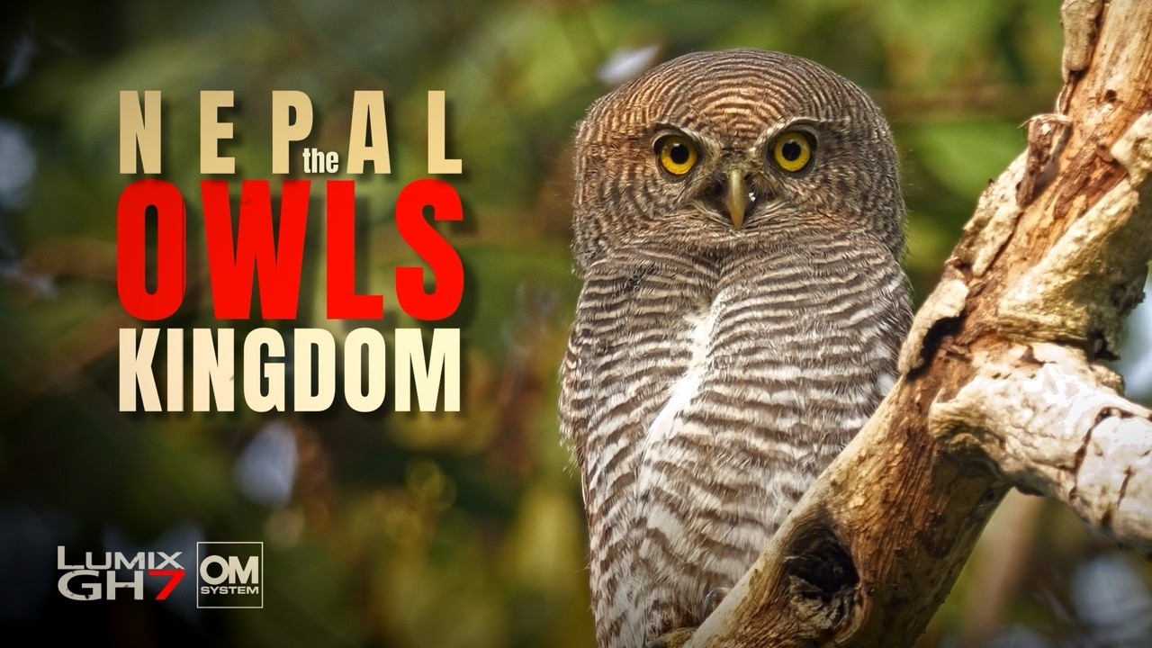 Inside Nepal's Owl Kingdom with the GH7