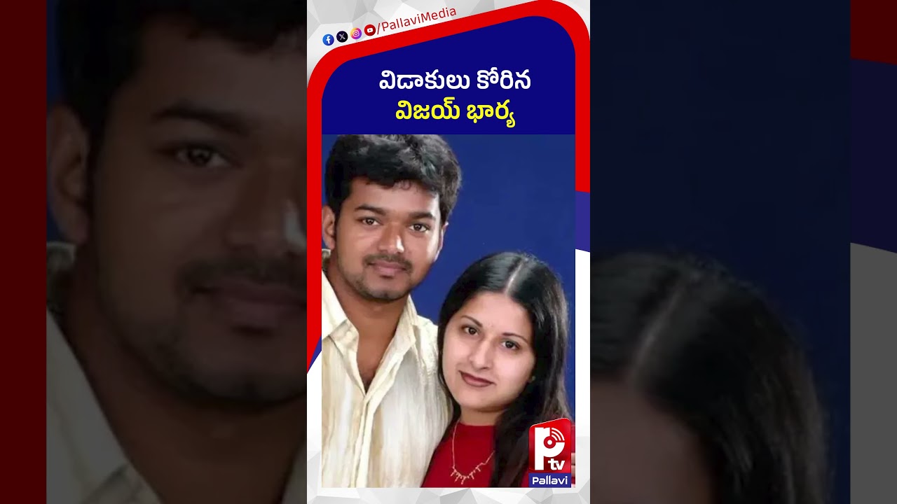 విడాకులు కోరిన విజయ్ భార్య | TVK Vijay wife Sangeetha files for Divorce |  Vijay Illegal Affair