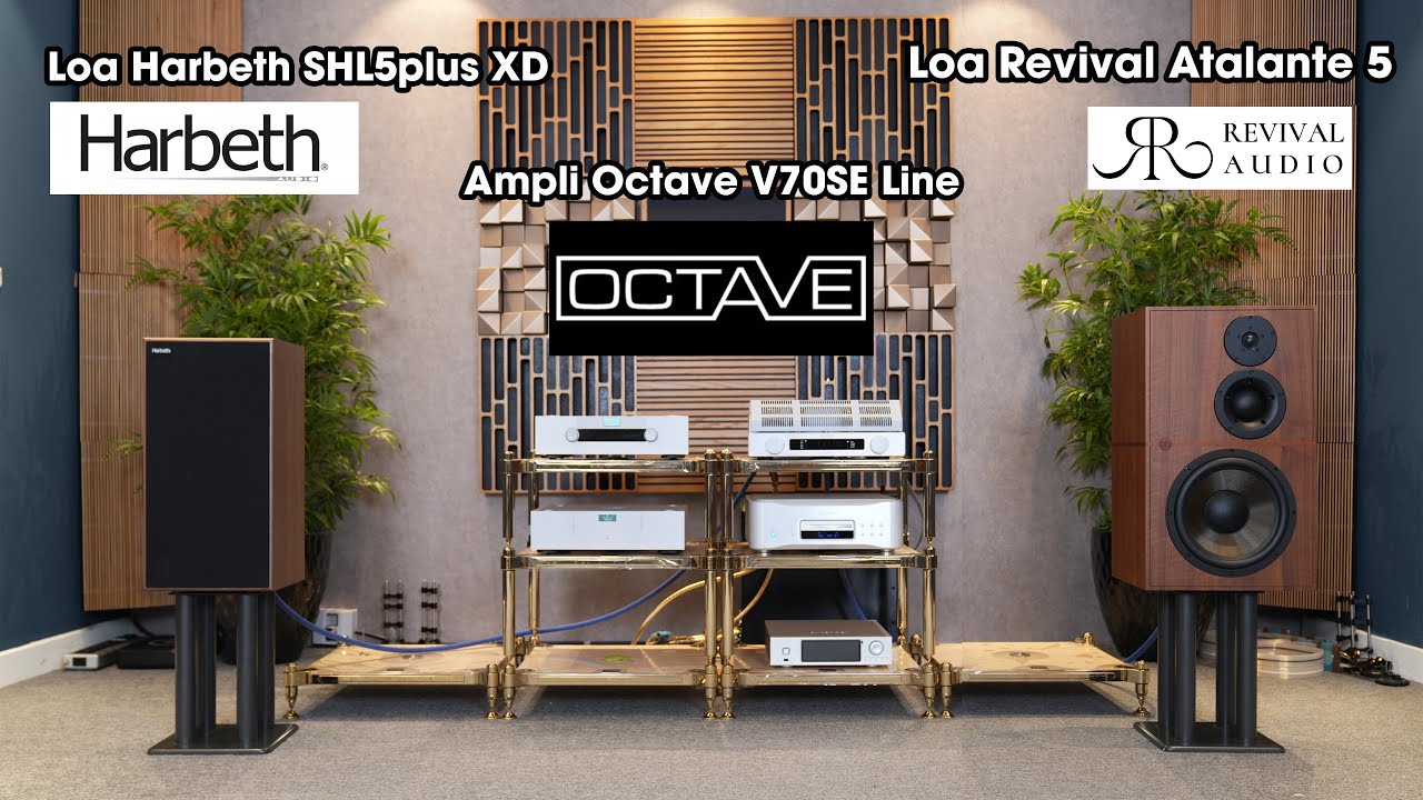 Ampli Octave V70SE Class A Tham Chiếu Loa Revival Atalante 5 + Loa Harbeth SHL5plus XD
