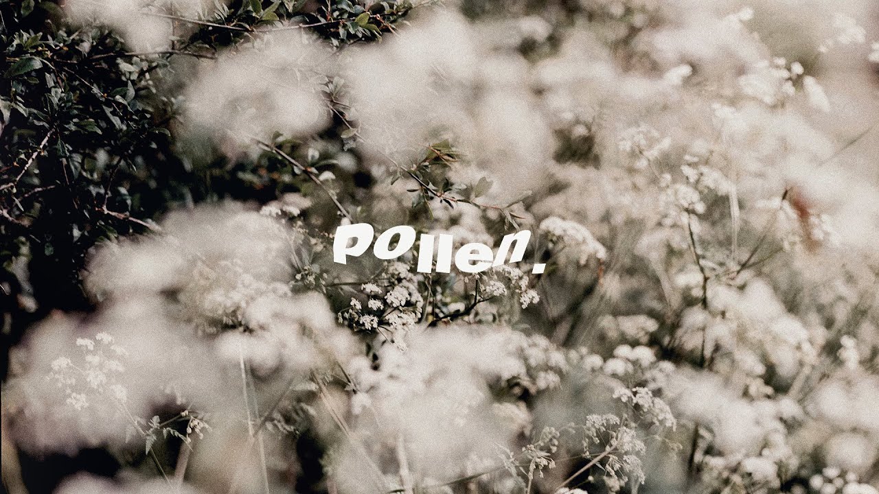 FREE Saba x Isaiah Rashad Type Beat | Chill Guitar Instrumental | Pollen (NEW 2022)