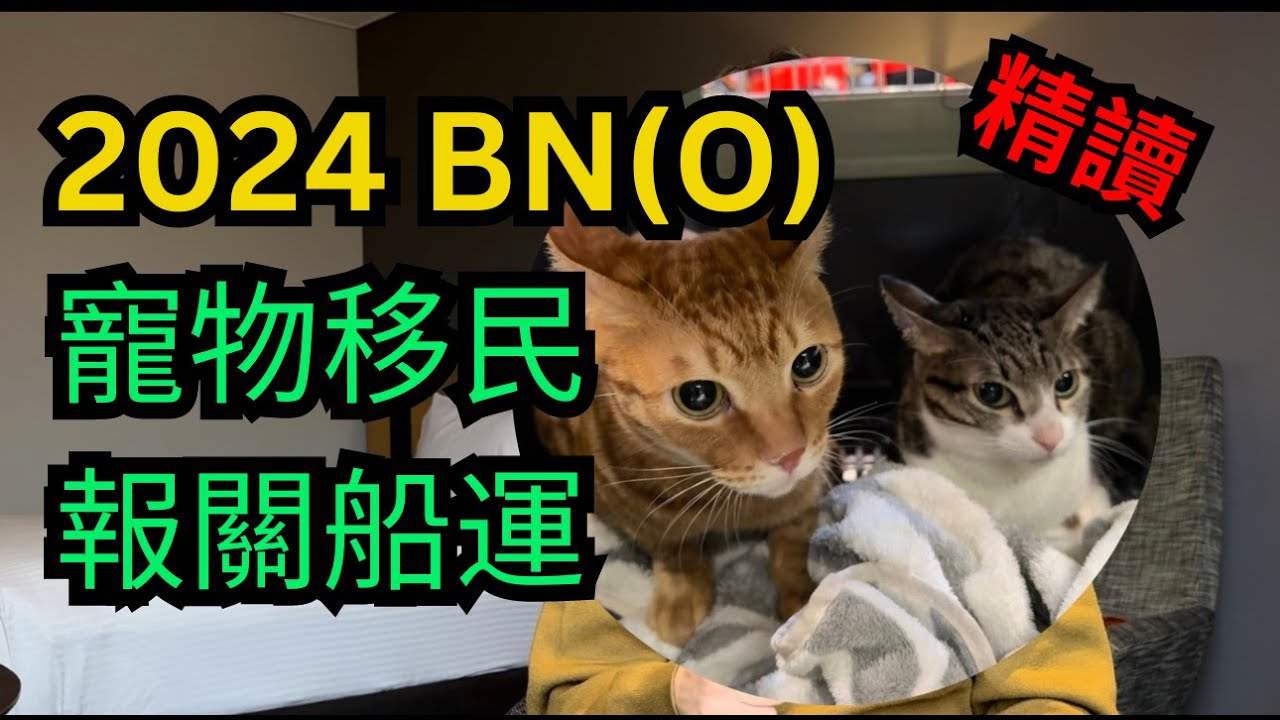 [廣東話] 2024  BNO 簽證＋寵物移民 +報關船運 精讀