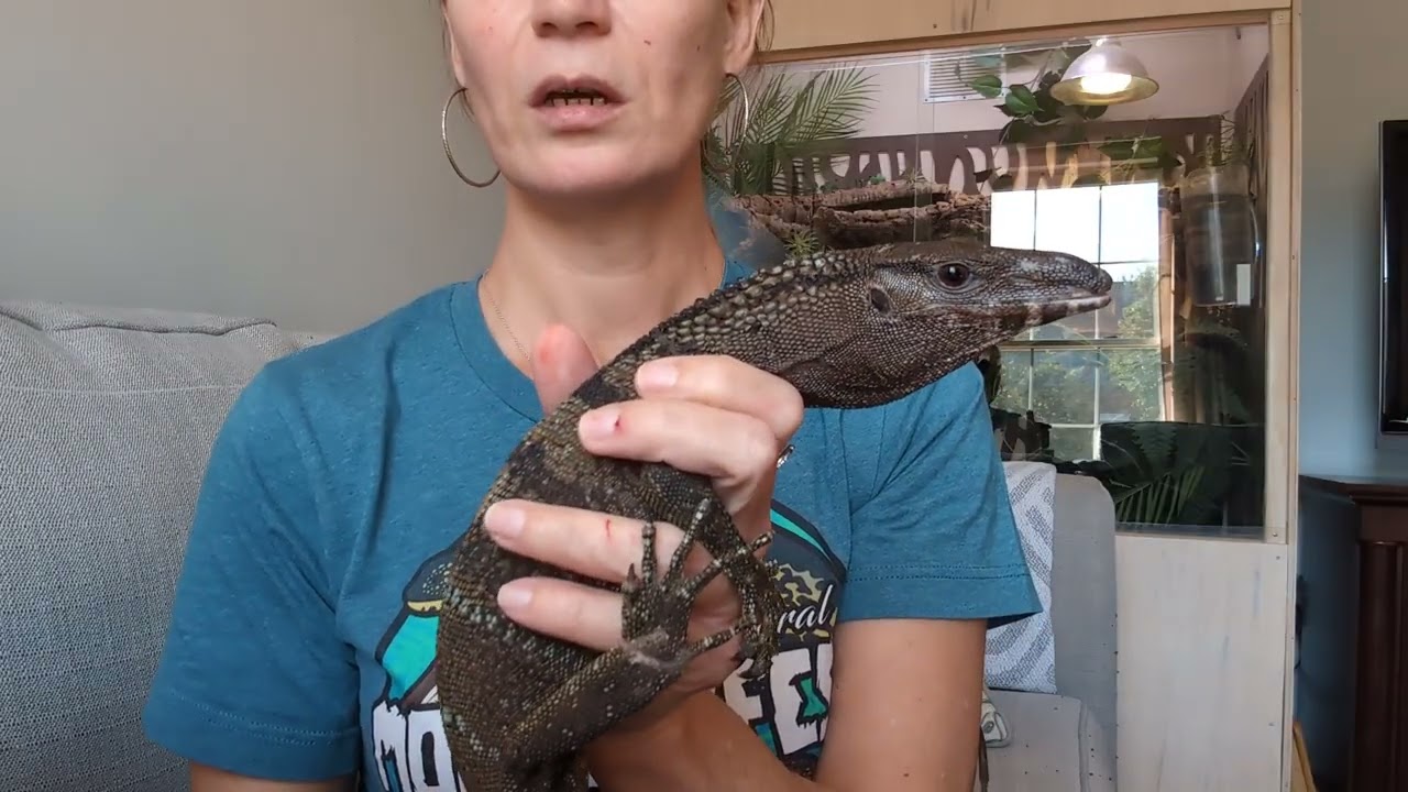 Penelope the Black roughneck monitor update 