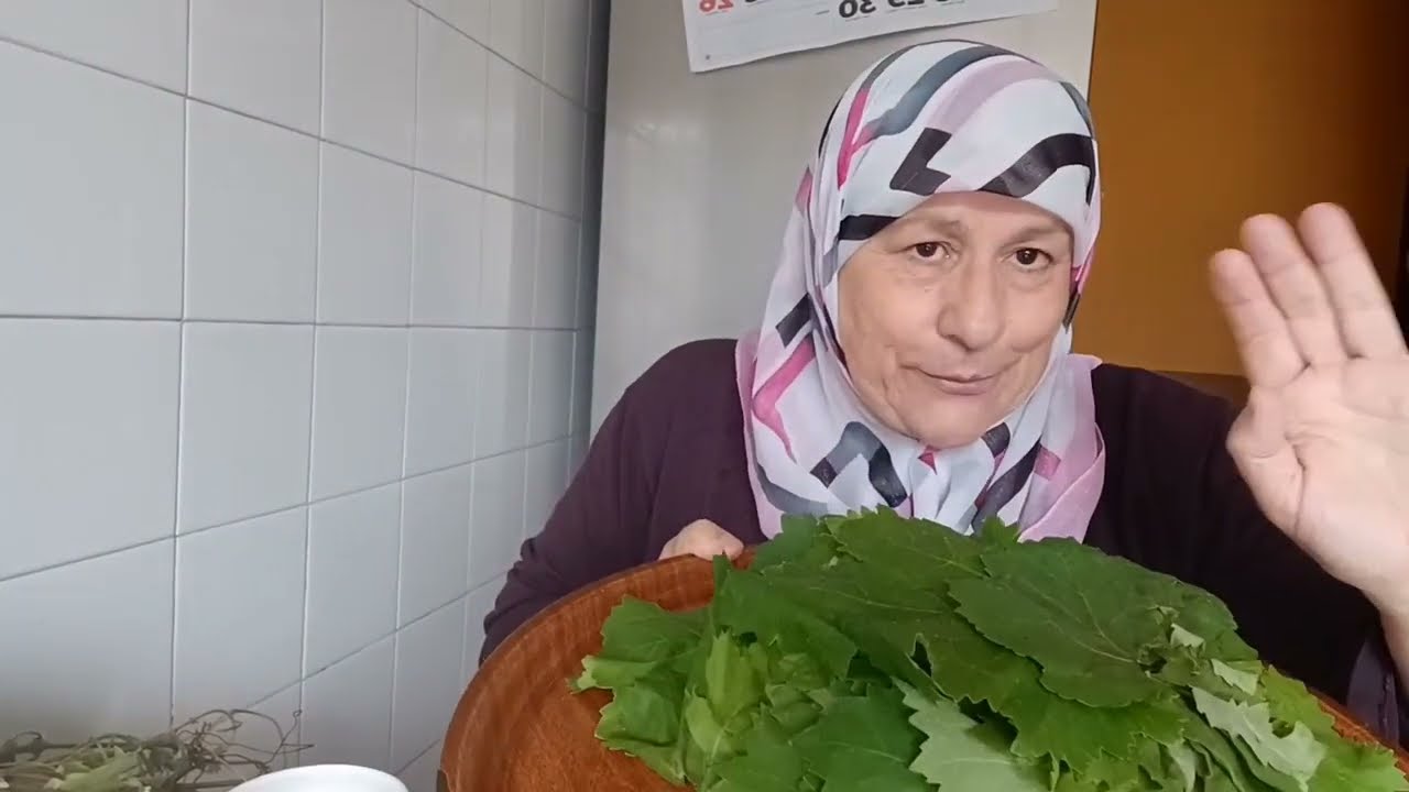 TIPS de como conservar HOJAS de PARRA ,WARAK AL AINEB o YABRAK